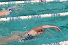 Swimming vs Babson  Wheaton College Swimming vs Babson College. - Photo By: KEITH NORDSTROM : Wheaton, Swimming, Babson